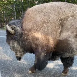 Recensisci la foto 2