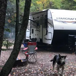 Commenter la photo 1