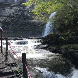 Commenter la photo 1