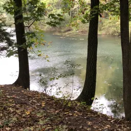 Foto de la valoración 5