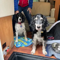 Recensisci la foto 2