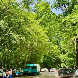 Recensisci la foto 5