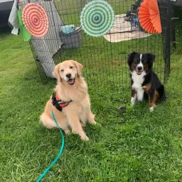 Foto de la valoración 1