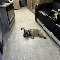 Recensisci la foto 1