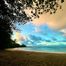 Recensisci la foto 4