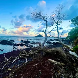 Recensisci la foto 5