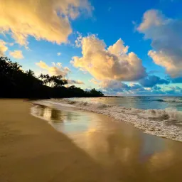 Recensisci la foto 2