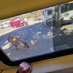 Commenter la photo 16