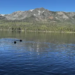 Commenter la photo 2