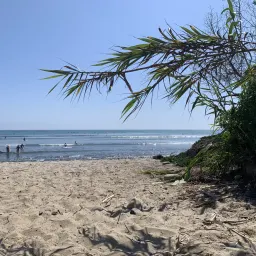 Recensisci la foto 3