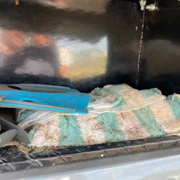 Recensisci la foto 5