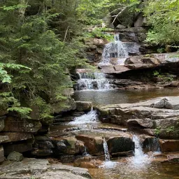 Commenter la photo 2