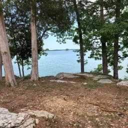 Commenter la photo 2