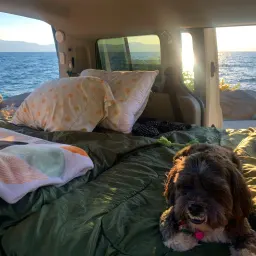 Recensisci la foto 3