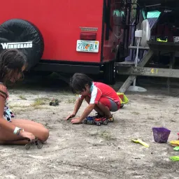 Commenter la photo 1