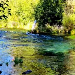 Commenter la photo 3