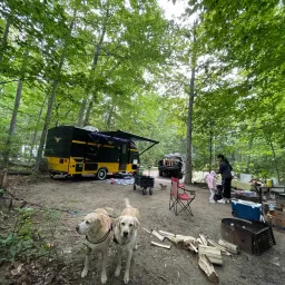 Recensisci la foto 2