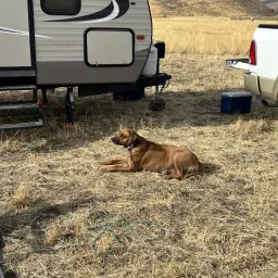 Commenter la photo 1