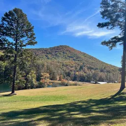 Commenter la photo 2