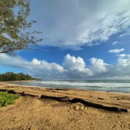 Recensisci la foto 5