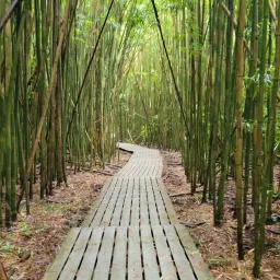 Recensisci la foto 4