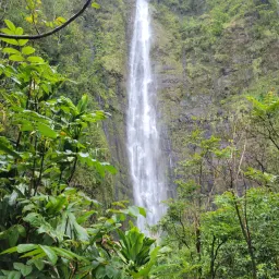 Recensisci la foto 5