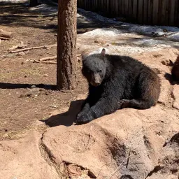 Recensisci la foto 2