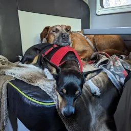 Recensisci la foto 2