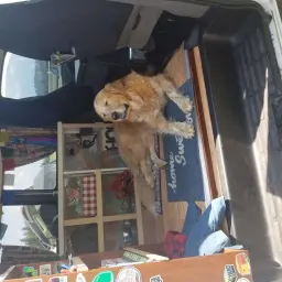 Recensisci la foto 2