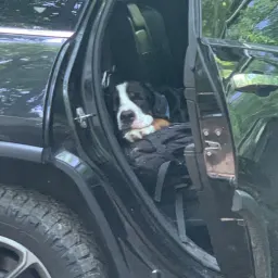 Foto de la valoración 4