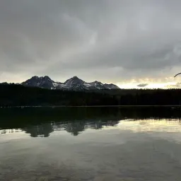 Commenter la photo 1