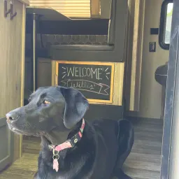 Commenter la photo 1