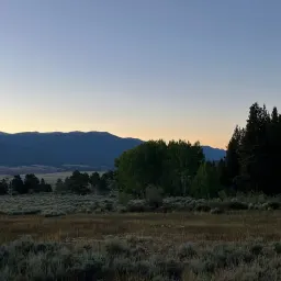 Commenter la photo 2