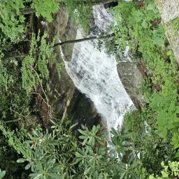 Commenter la photo 3