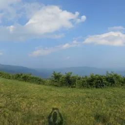 Commenter la photo 7