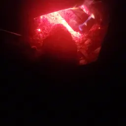 Commenter la photo 1