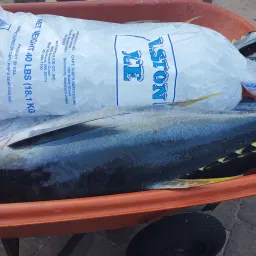 Commenter la photo 7