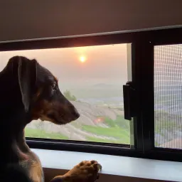 Foto de la valoración 1