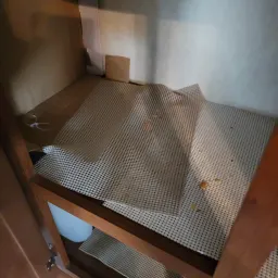 Recensisci la foto 2