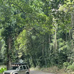 Recensisci la foto 1