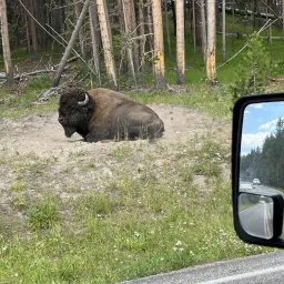 Foto de la valoración 1