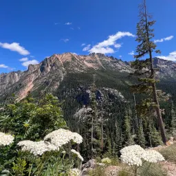 Recensisci la foto 4