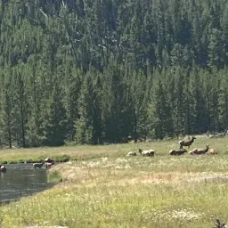 Foto de la valoración 1