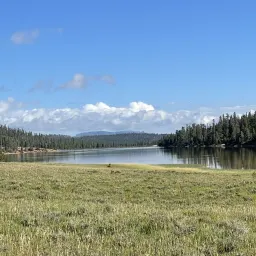 Commenter la photo 3