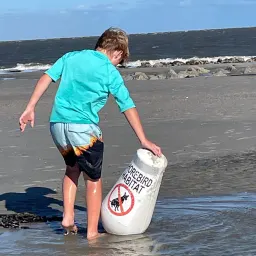 Commenter la photo 2