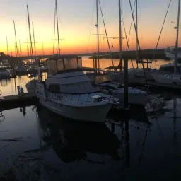 Commenter la photo 1