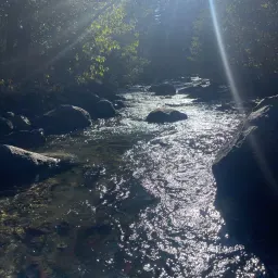 Commenter la photo 1