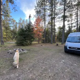 Commenter la photo 1