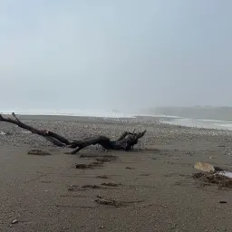 Foto de la valoración 4