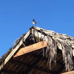 Commenter la photo 7